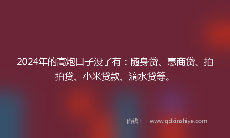 2024年的高炮口子没了有：随身贷、惠商贷、拍拍贷、小米贷款、滴水贷等。