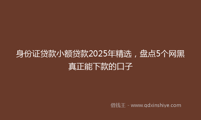 身份证贷款小额贷款2025年精选，盘点5个网黑真正能下款的口子