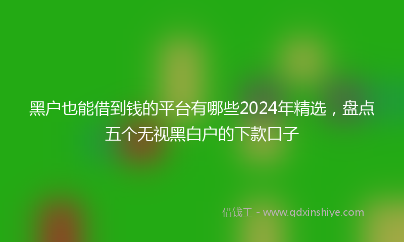 黑户也能借到钱的平台有哪些2024年精选，盘点五个无视黑白户的下款口子