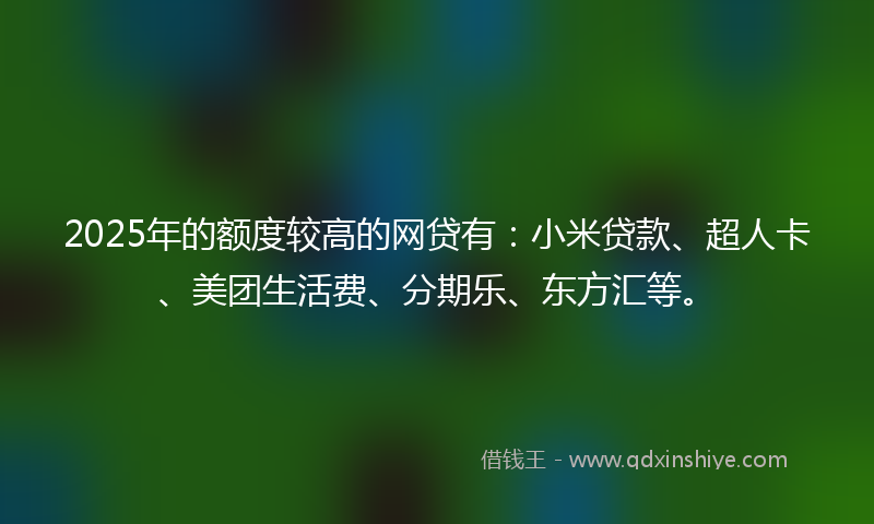 2025年的额度较高的网贷有：小米贷款、超人卡、美团生活费、分期乐、东方汇等。