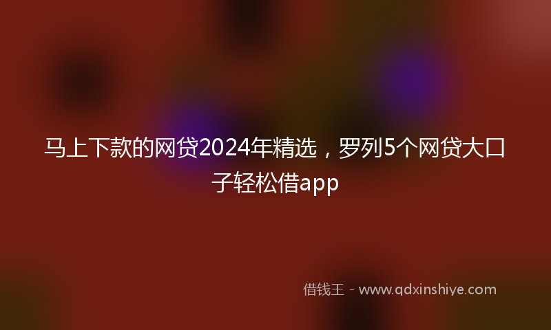 马上下款的网贷2024年精选，罗列5个网贷大口子轻松借app
