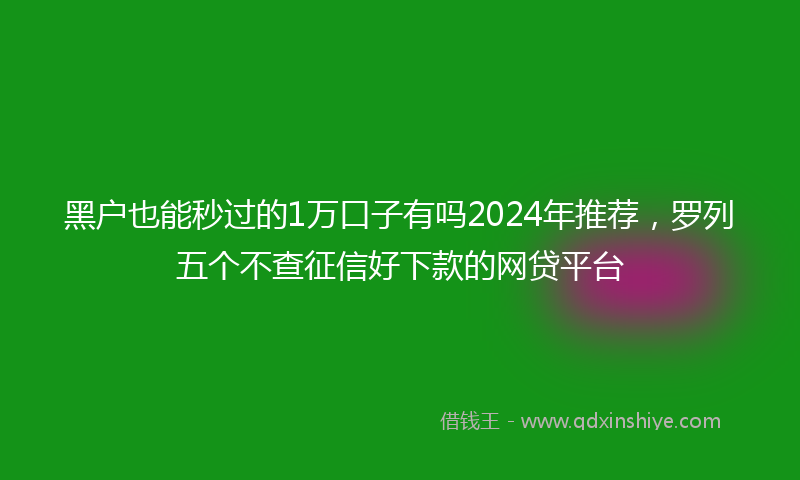 黑户也能秒过的1万口子有吗2024年推荐，罗列五个不查征信好下款的网贷平台