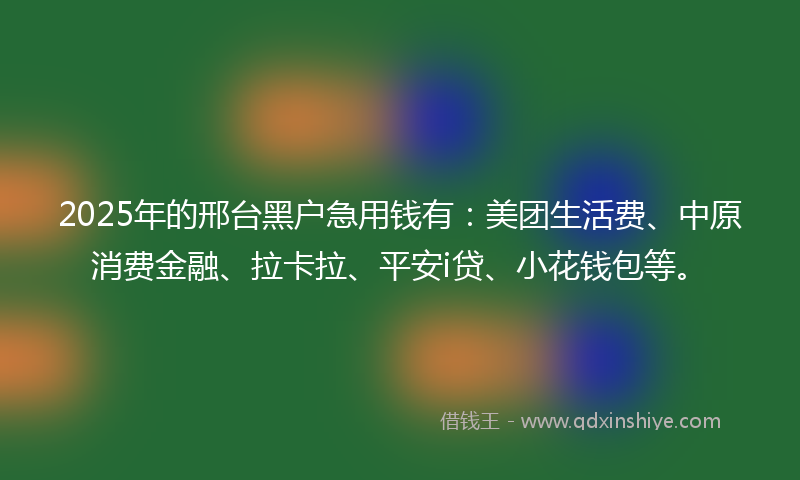 2025年的邢台黑户急用钱有：美团生活费、中原消费金融、拉卡拉、平安i贷、小花钱包等。