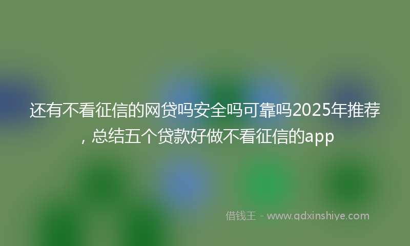 还有不看征信的网贷吗安全吗可靠吗2025年推荐，总结五个贷款好做不看征信的app