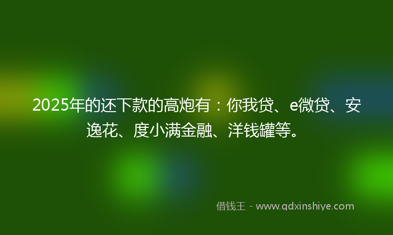 2025年的还下款的高炮有：你我贷、e微贷、安逸花、度小满金融、洋钱罐等。