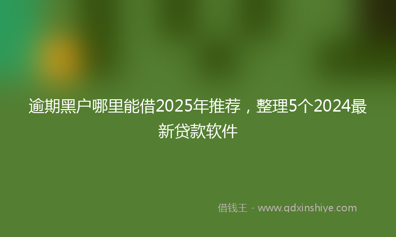 逾期黑户哪里能借2025年推荐，整理5个2024最新贷款软件