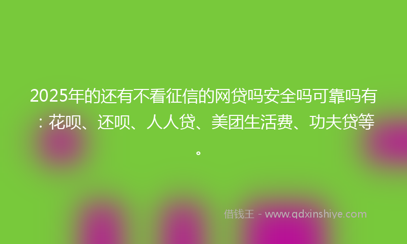 2025年的还有不看征信的网贷吗安全吗可靠吗有：花呗、还呗、人人贷、美团生活费、功夫贷等。