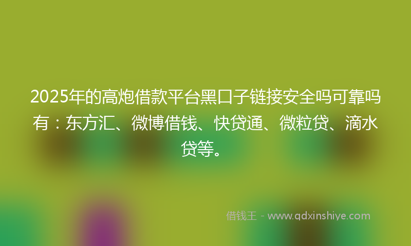 2025年的高炮借款平台黑口子链接安全吗可靠吗有：东方汇、微博借钱、快贷通、微粒贷、滴水贷等。