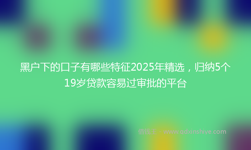 黑户下的口子有哪些特征2025年精选，归纳5个19岁贷款容易过审批的平台