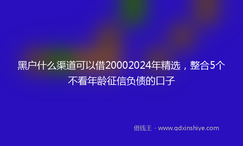 黑户什么渠道可以借20002024年精选，整合5个不看年龄征信负债的口子