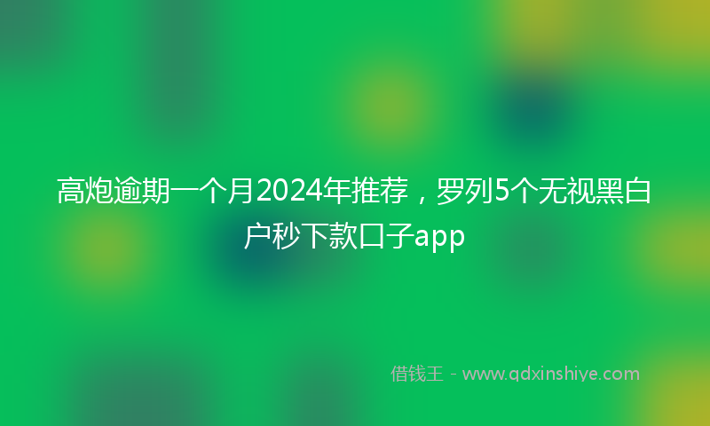 高炮逾期一个月2024年推荐，罗列5个无视黑白户秒下款口子app