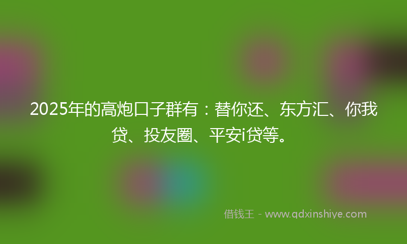 2025年的高炮口子群有：替你还、东方汇、你我贷、投友圈、平安i贷等。