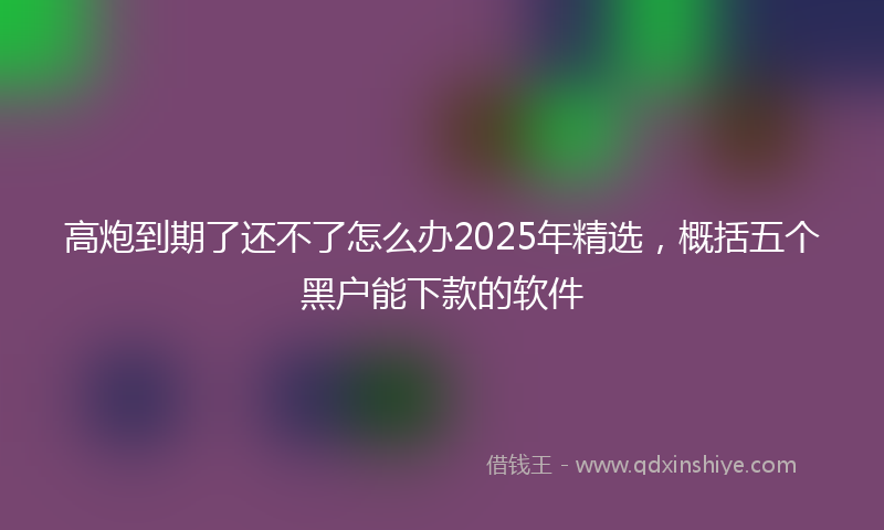 高炮到期了还不了怎么办2025年精选，概括五个黑户能下款的软件