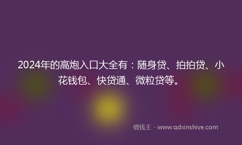 2024年的高炮入口大全有：随身贷、拍拍贷、小花钱包、快贷通、微粒贷等。