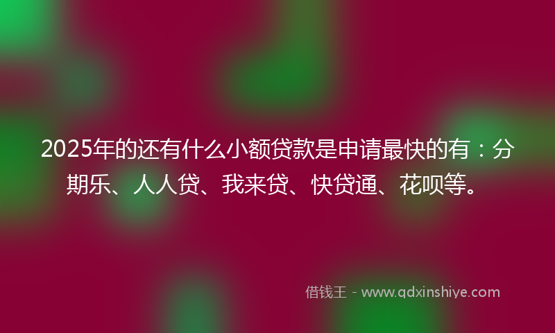 2025年的还有什么小额贷款是申请最快的有：分期乐、人人贷、我来贷、快贷通、花呗等。