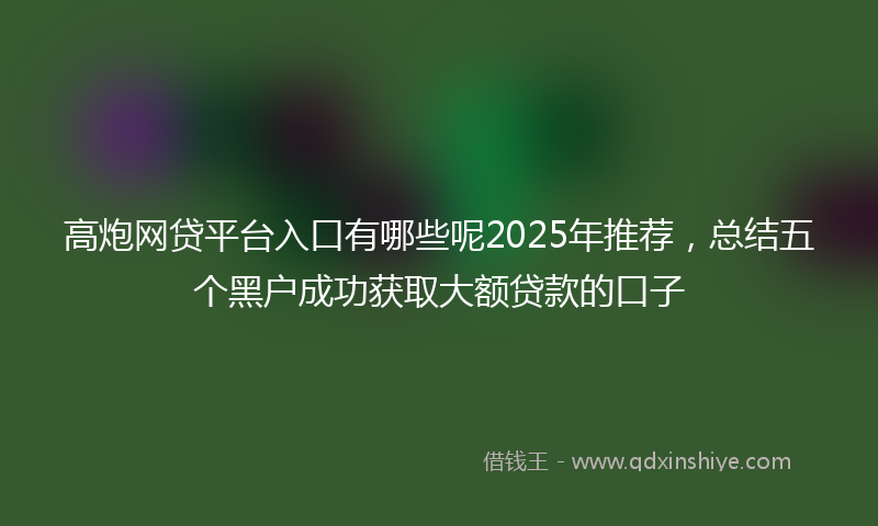 高炮网贷平台入口有哪些呢2025年推荐，总结五个黑户成功获取大额贷款的口子
