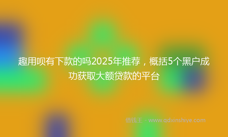趣用呗有下款的吗2025年推荐，概括5个黑户成功获取大额贷款的平台