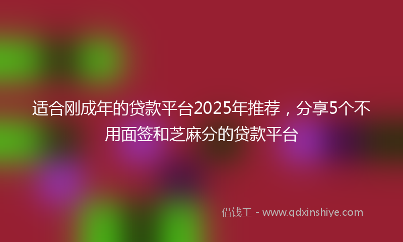 适合刚成年的贷款平台2025年推荐，分享5个不用面签和芝麻分的贷款平台