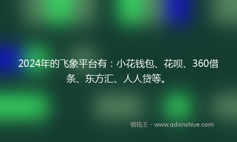 2024年的飞象平台有：小花钱包、花呗、360借条、东方汇、人人贷等。