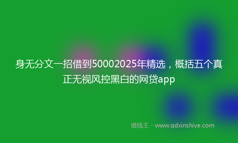 身无分文一招借到50002025年精选，概括五个真正无视风控黑白的网贷app