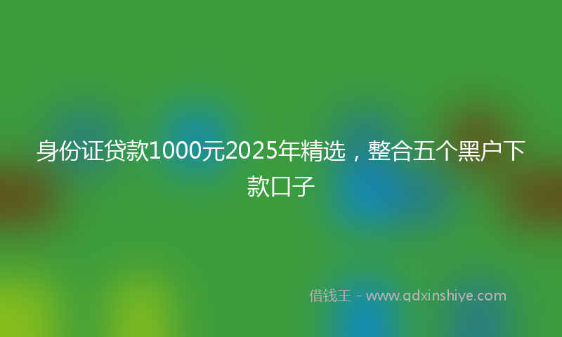 身份证贷款1000元2025年精选，整合五个黑户下款口子