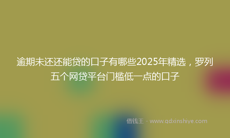 逾期未还还能贷的口子有哪些2025年精选，罗列五个网贷平台门槛低一点的口子