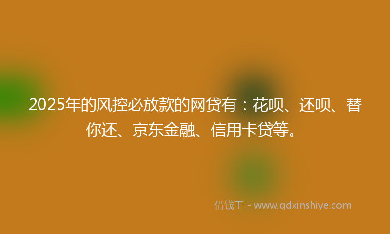 2025年的风控必放款的网贷有：花呗、还呗、替你还、京东金融、信用卡贷等。