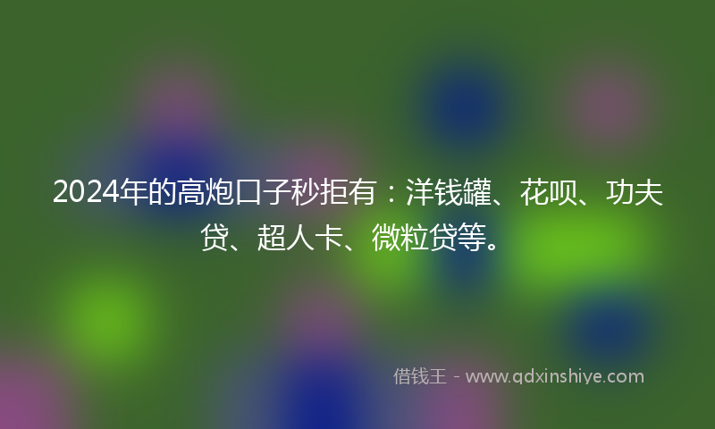 2024年的高炮口子秒拒有：洋钱罐、花呗、功夫贷、超人卡、微粒贷等。