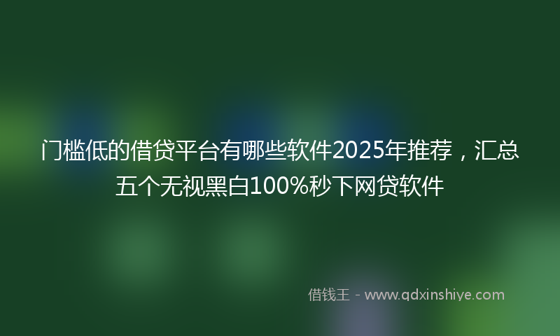门槛低的借贷平台有哪些软件2025年推荐，汇总五个无视黑白100%秒下网贷软件