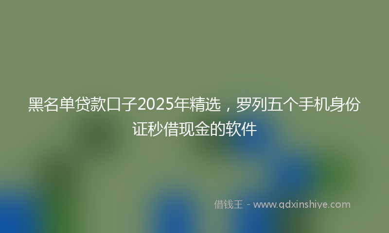 黑名单贷款口子2025年精选，罗列五个手机身份证秒借现金的软件