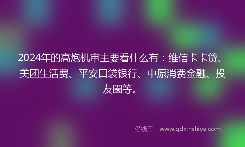 2024年的高炮机审主要看什么有：维信卡卡贷、美团生活费、平安口袋银行、中原消费金融、投友圈等。