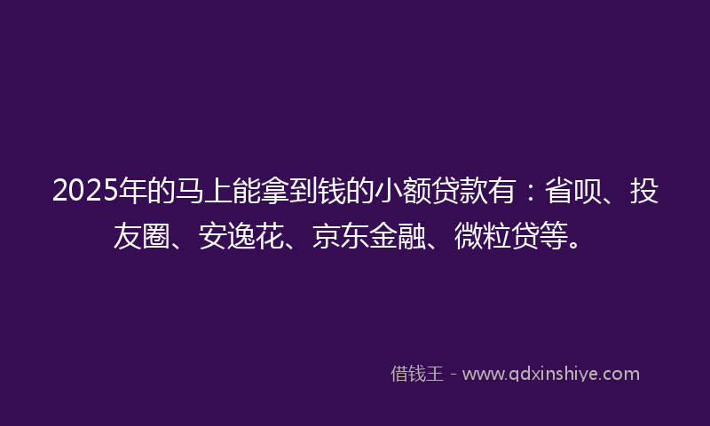 2025年的马上能拿到钱的小额贷款有：省呗、投友圈、安逸花、京东金融、微粒贷等。