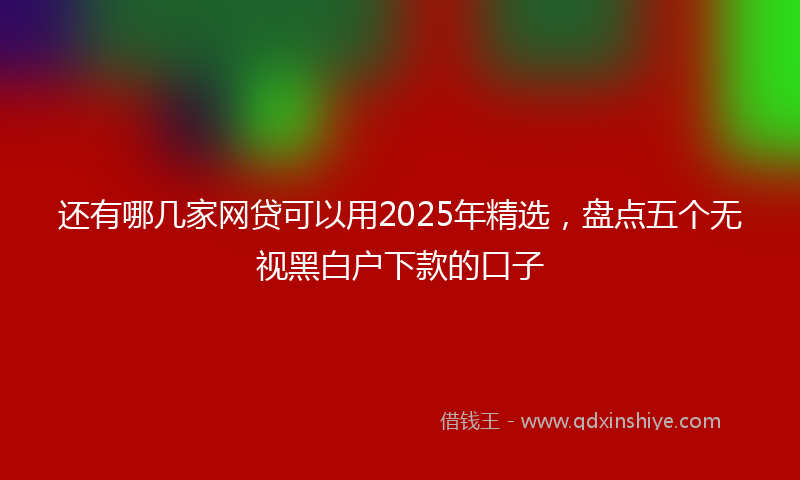 还有哪几家网贷可以用2025年精选，盘点五个无视黑白户下款的口子