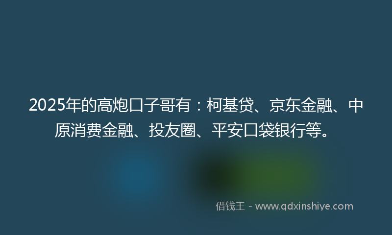 2025年的高炮口子哥有：柯基贷、京东金融、中原消费金融、投友圈、平安口袋银行等。