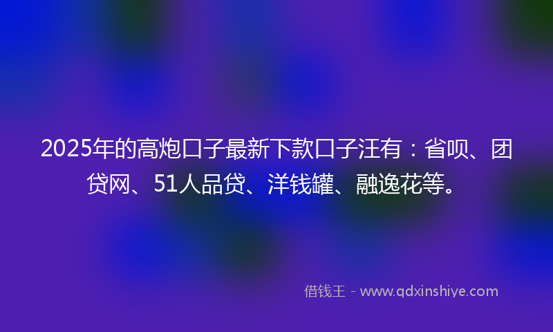 2025年的高炮口子最新下款口子汪有：省呗、团贷网、51人品贷、洋钱罐、融逸花等。