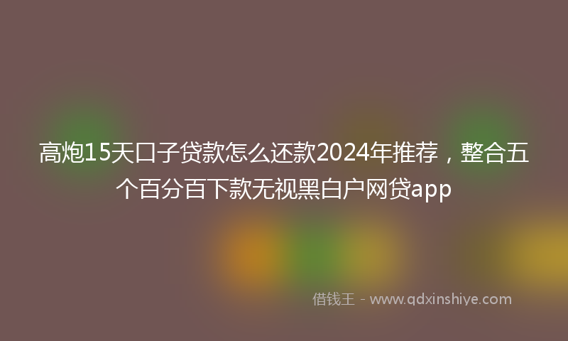 高炮15天口子贷款怎么还款2024年推荐，整合五个百分百下款无视黑白户网贷app