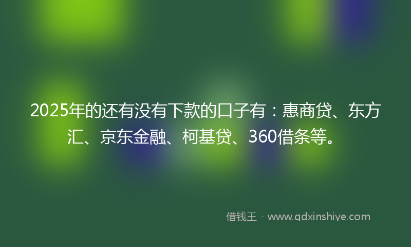 2025年的还有没有下款的口子有：惠商贷、东方汇、京东金融、柯基贷、360借条等。