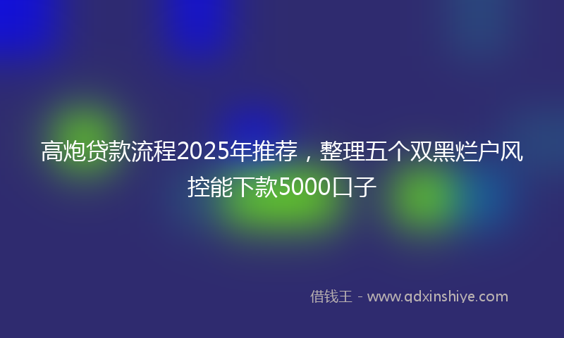 高炮贷款流程2025年推荐，整理五个双黑烂户风控能下款5000口子