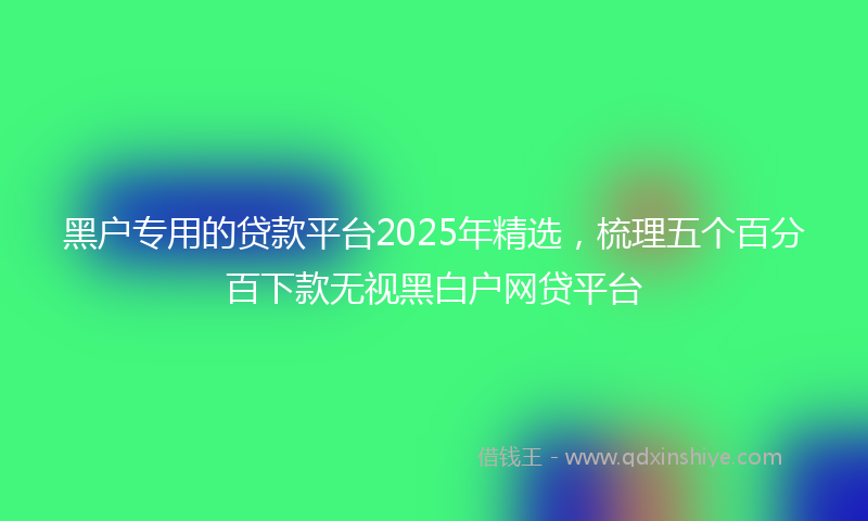 黑户专用的贷款平台2025年精选，梳理五个百分百下款无视黑白户网贷平台