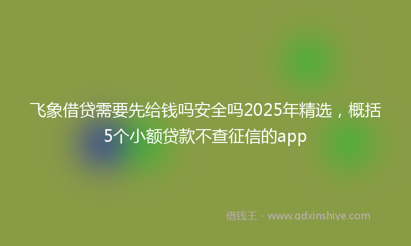 飞象借贷需要先给钱吗安全吗2025年精选，概括5个小额贷款不查征信的app