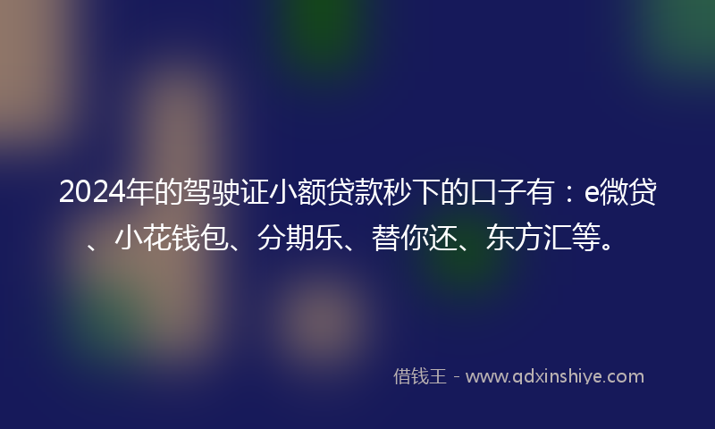 2024年的驾驶证小额贷款秒下的口子有：e微贷、小花钱包、分期乐、替你还、东方汇等。