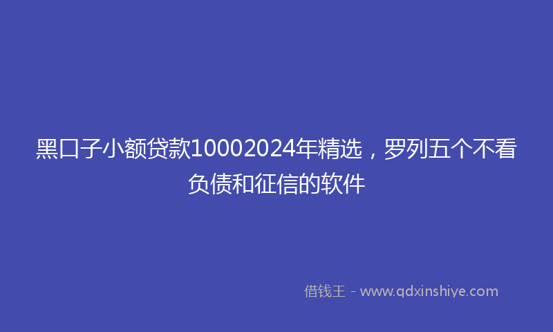 黑口子小额贷款10002024年精选，罗列五个不看负债和征信的软件