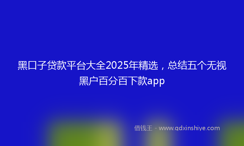 黑口子贷款平台大全2025年精选，总结五个无视黑户百分百下款app
