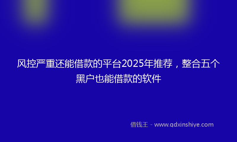 风控严重还能借款的平台2025年推荐，整合五个黑户也能借款的软件