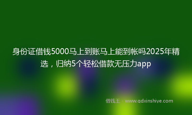 身份证借钱5000马上到账马上能到帐吗2025年精选，归纳5个轻松借款无压力app