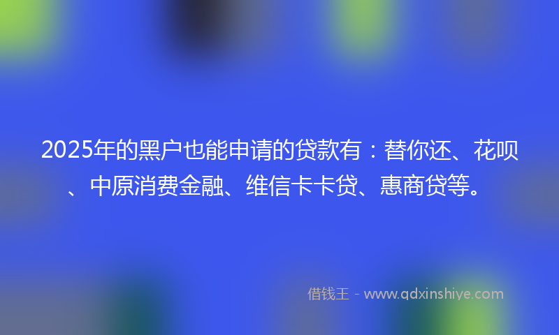 2025年的黑户也能申请的贷款有：替你还、花呗、中原消费金融、维信卡卡贷、惠商贷等。