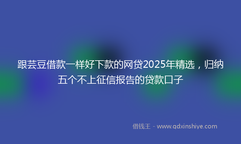 跟芸豆借款一样好下款的网贷2025年精选，归纳五个不上征信报告的贷款口子