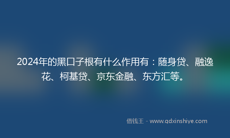 2024年的黑口子根有什么作用有：随身贷、融逸花、柯基贷、京东金融、东方汇等。