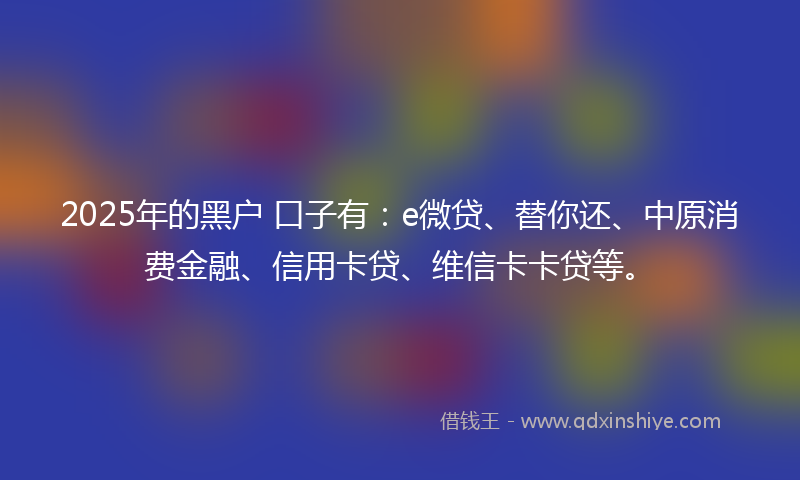 2025年的黑户 口子有：e微贷、替你还、中原消费金融、信用卡贷、维信卡卡贷等。