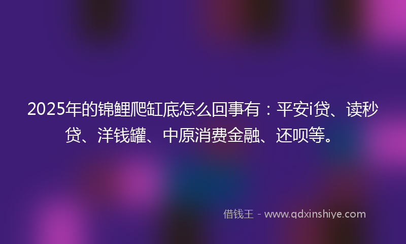 2025年的锦鲤爬缸底怎么回事有：平安i贷、读秒贷、洋钱罐、中原消费金融、还呗等。